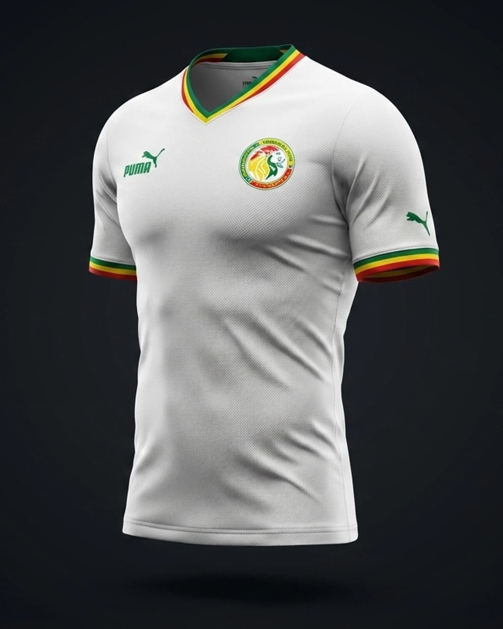 Camisa Senegal I 2026 · Jogador