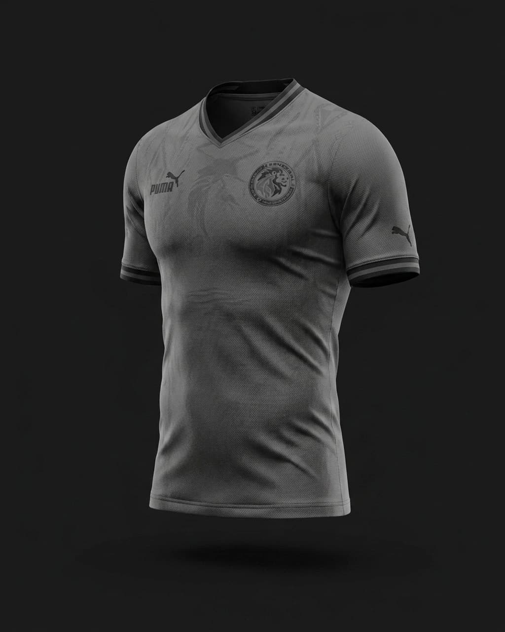 Camisa Senegal I 2026 · Jogador